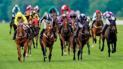 odds for ascot